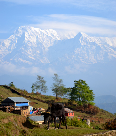 annapurna